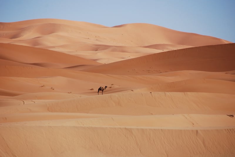 Desert Camping